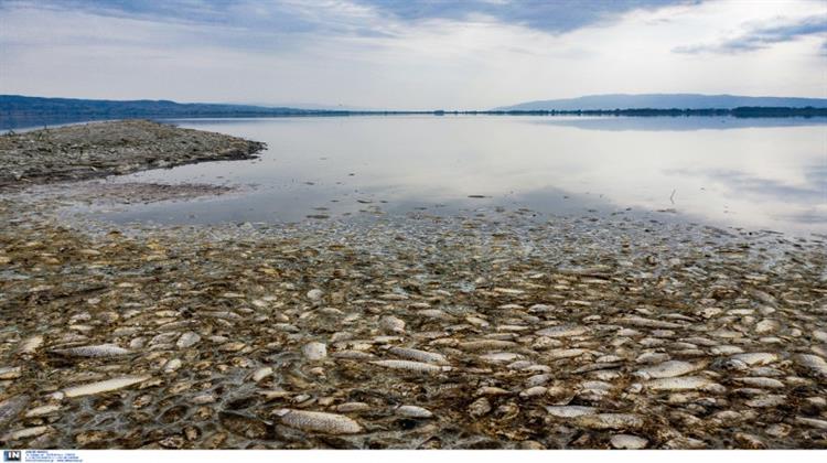 Το ΥΠΕΝ Μόνη Αρμόδια Αρχή για την Περιβαλλοντική Αποκατάσταση της Λίμνης Κορώνειας-Δέσμευση Χατζηδάκη